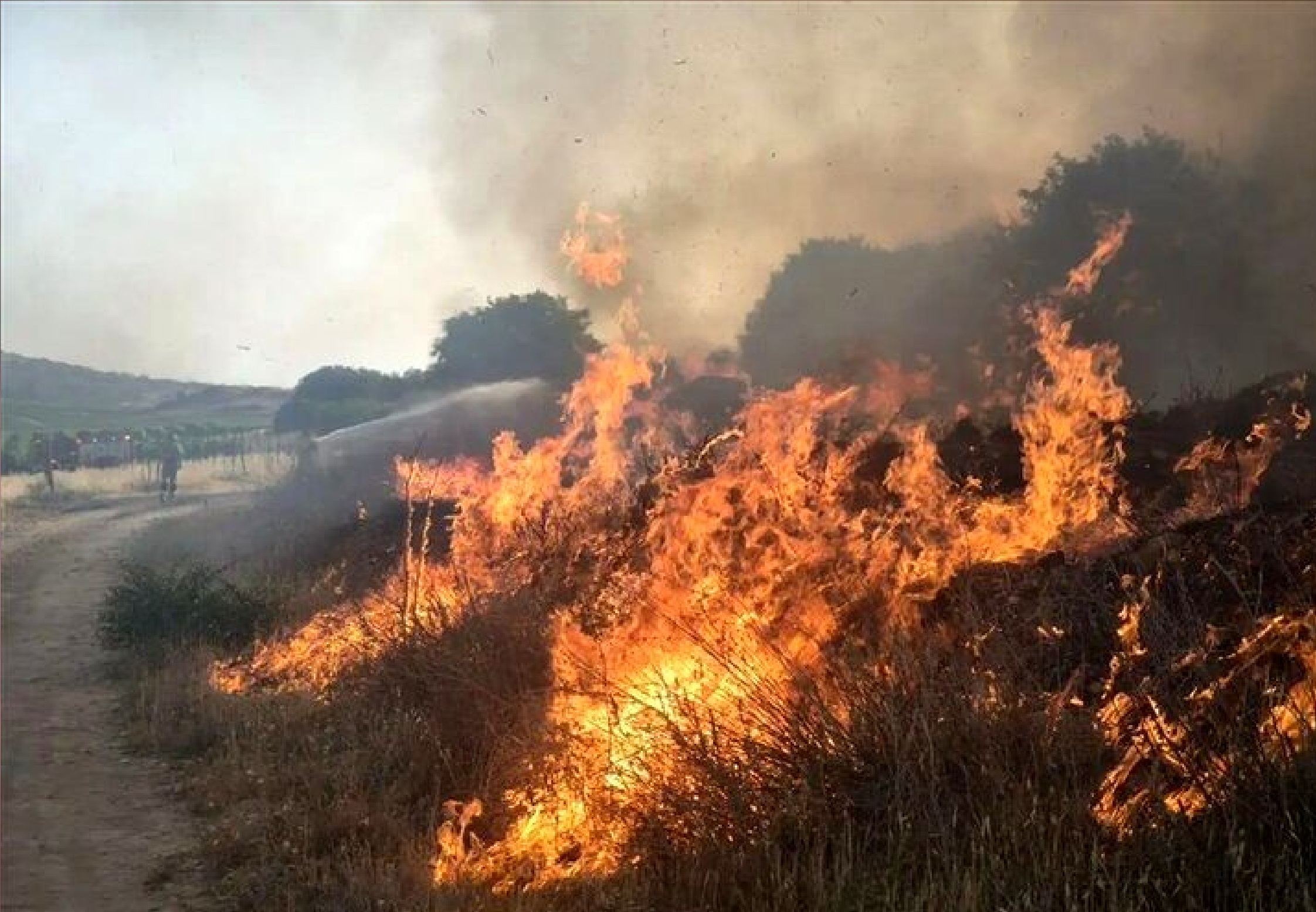 آتش‌سوزی در ارتفاعات آبیدر سنندج مهار شد؛ هشدار ستاد بحران به شهروندان