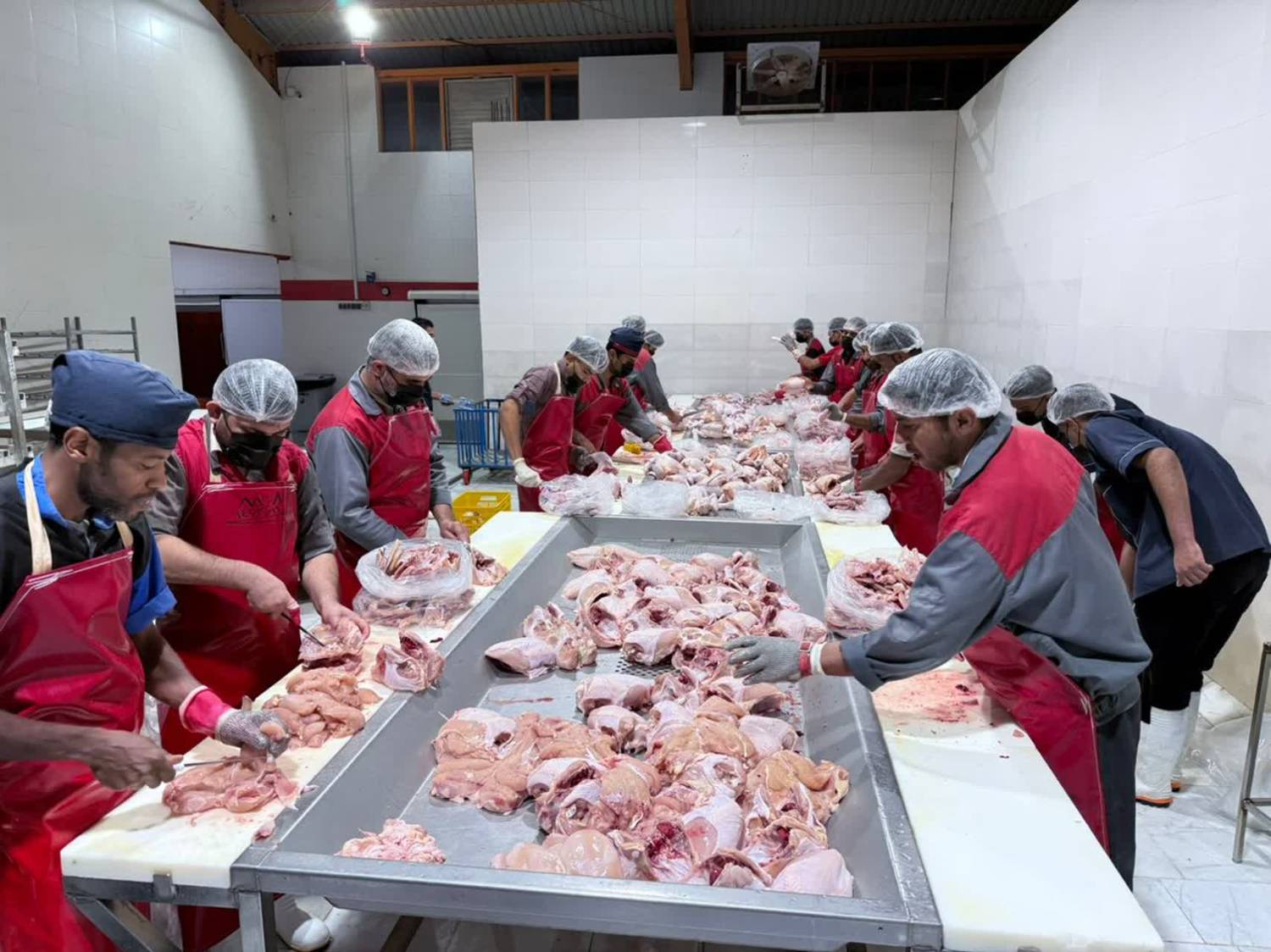 تحول مالیاتی در هرمزگان؛ رشد ۳۲۰ درصدی استرداد مالیات برای حمایت از تولید