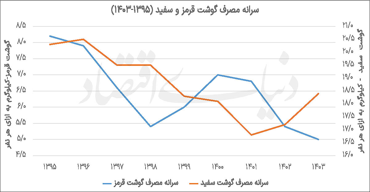 سفرههای کوچک؛ چرا مازاد تولید مرغ نشانه رونق نیست؟