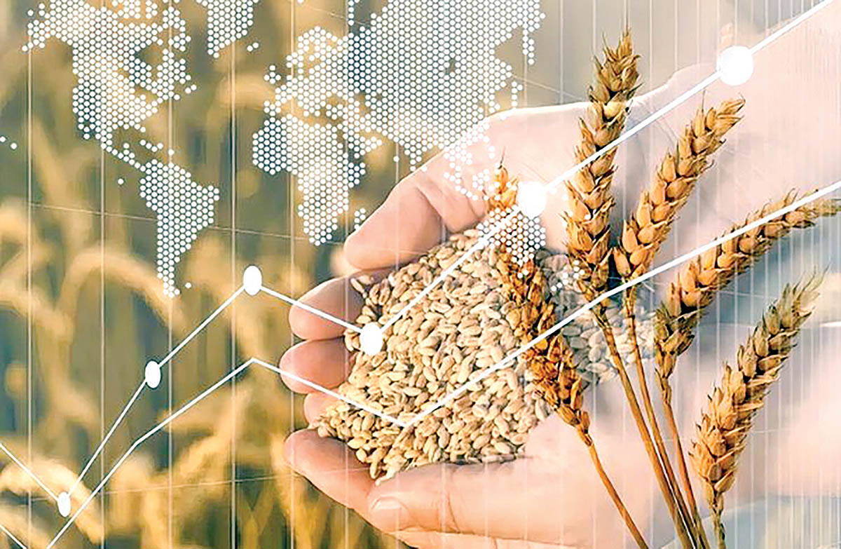 پریمیوم؛ زبان پنهان قیمت‌گذاری در تجارت جهانی غلات