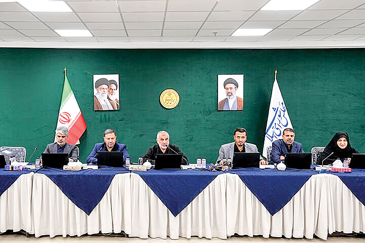 مجلس مجازی؛ آغاز عصر جدید قانون‌گذاری در شرایط اضطرار
