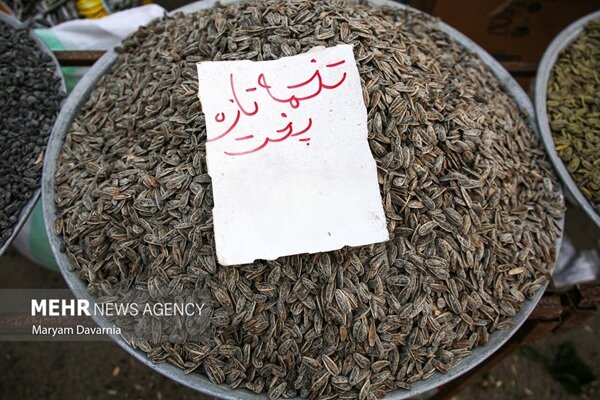 رفع ممنوعیت صادرات ۱۵ محصول کشاورزی؛ ابلاغیه جدید گمرک ایران