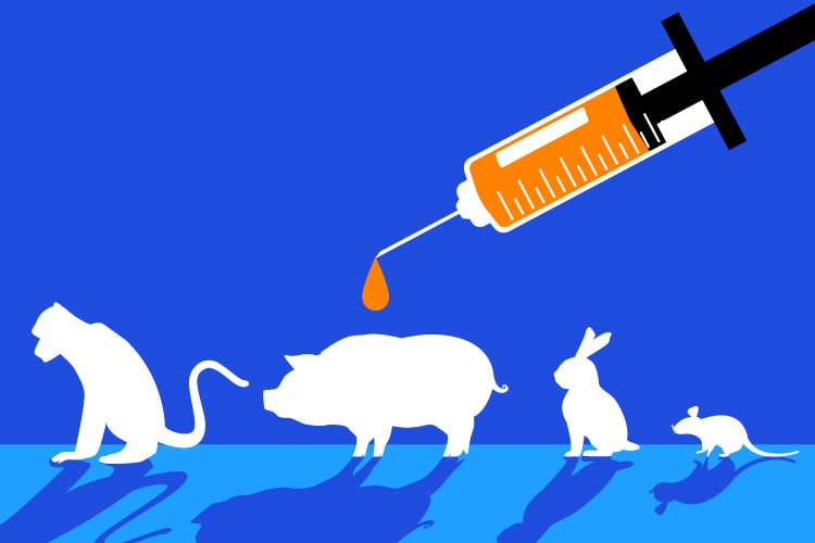 هزینه سنگین شکستهای علمی: چرا آزمایش روی حیوانات دیگر توجیه اقتصادی ندارد؟