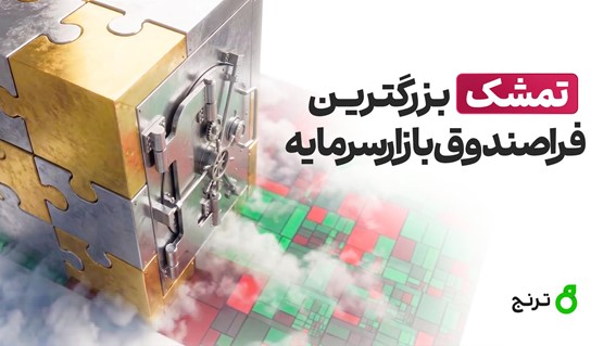 تمشک؛ بزرگترین فرا‌صندوق بازار سرمایه با بازدهی ۹۳ درصدی