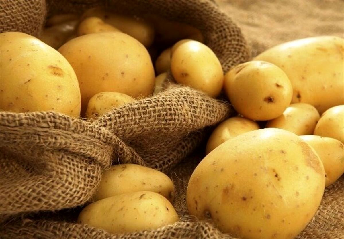 تغییر استراتژی تنظیم بازار؛ قیمت سیب‌زمینی با افزایش عرضه کاهش یافت