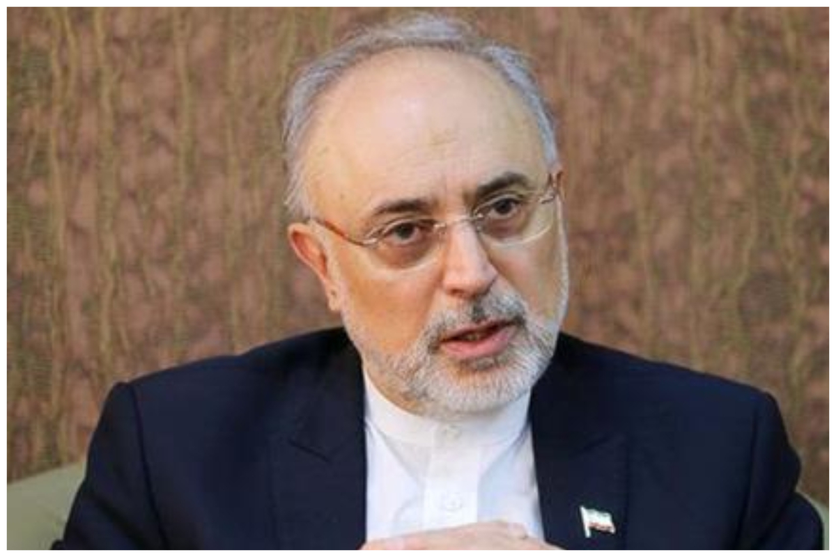 علیاکبر صالحی: پرچم به یک ملت تعلق دارد، نه صرفاً به دولت حاکم/ بیحرمتی به پرچم کشوری که آن را به رسمیت میشناسیم، خردمندانه نیست