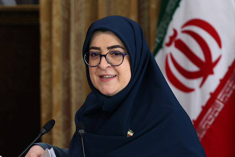 نگرانی دولت از نحوه اجرای «طرح نفوذ»